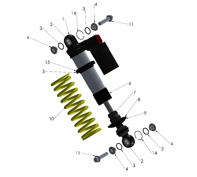 2025 Cobra CX65 - SHOCK - EXTERNAL