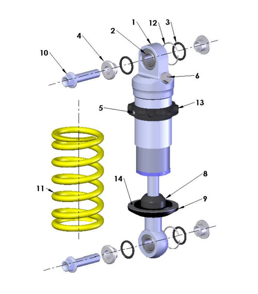 2021 Cobra CX50 P3 - SHOCK - EXTERNAL