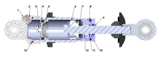 2021 Cobra CX50 P3 - SHOCK - INTERNAL